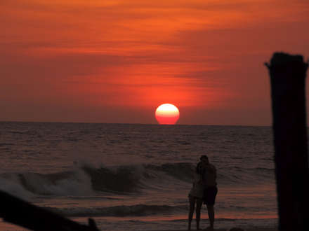 Location and Activities