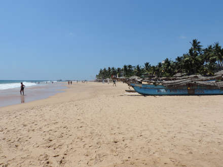 Location and Activities