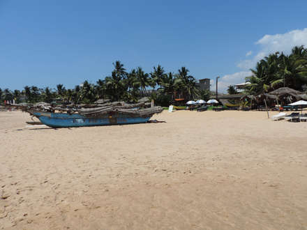 Location and Activities