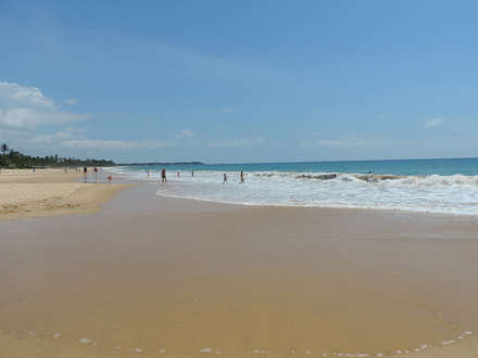 Location and Activities